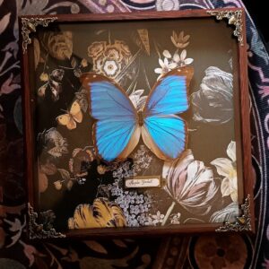Cadre vintage "Grand Morpho"