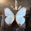Cadre vintage "Morpho Sulkowskyi" – Image 2