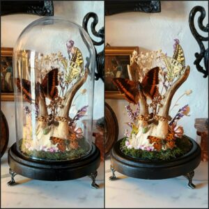 Diorama sous cloche "Bois perdus"