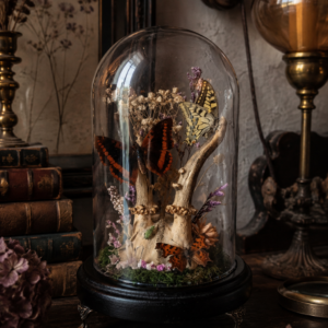 Collection faery - "Bois perdus"