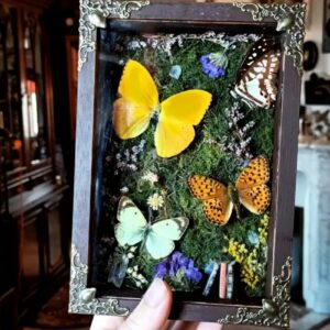 Diorama "Jardin féerique"