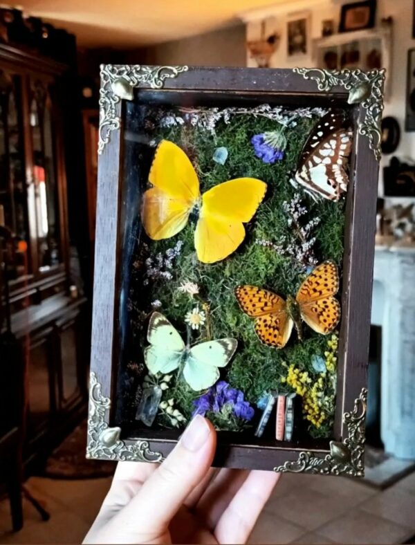 Diorama "Jardin féerique"
