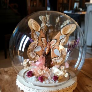 Cloche ronde "Shabby moth"