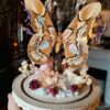 Cloche ronde "Shabby moth" – Image 2