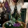 Mini prairie "Le printemps" – Image 2