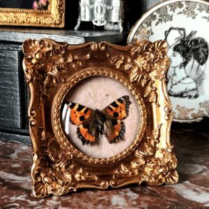 Cadre rococo "petite tortue"
