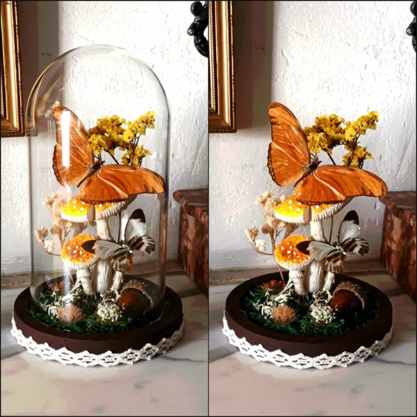 Mini prairie "l'automne"