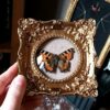 Cadre rococo "petite tortue" – Image 2