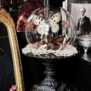 Collection gothique "Nosferatu"