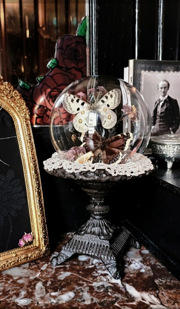 Collection gothique "Nosferatu"
