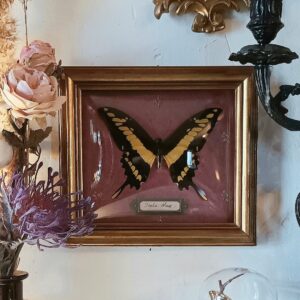 Cadre vintage "Petit boudoir"