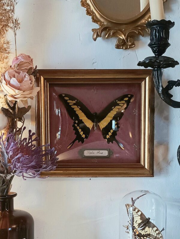 Cadre vintage "Petit boudoir"