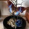 Collection gothique "Esprit d'Emily" – Image 2