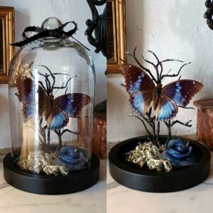 Collection gothique "Esprit d'Emily"