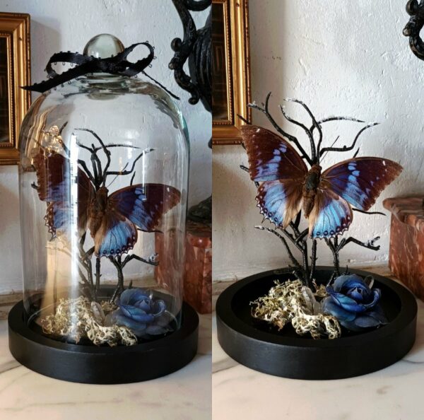 Collection gothique "Esprit d'Emily"