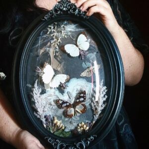 Collection gothique - "Élégie nocturne"