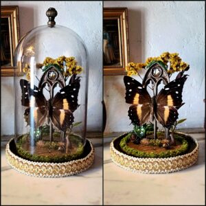 Reliques de Poudlard "Poufsouffle"