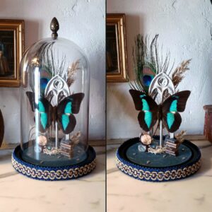 Reliques de Poudlard "Serdaigle"