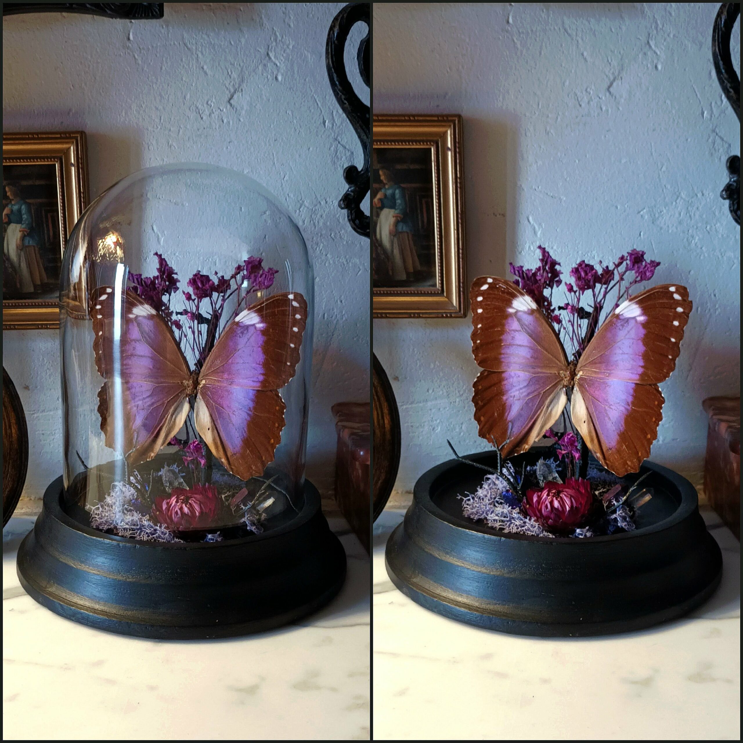 Collection gothique - "Purple veil"