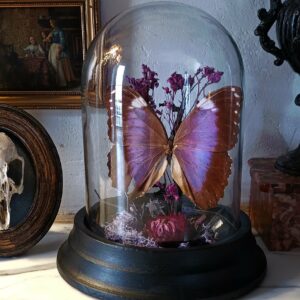 Promotion! Collection gothique - "Purple veil"