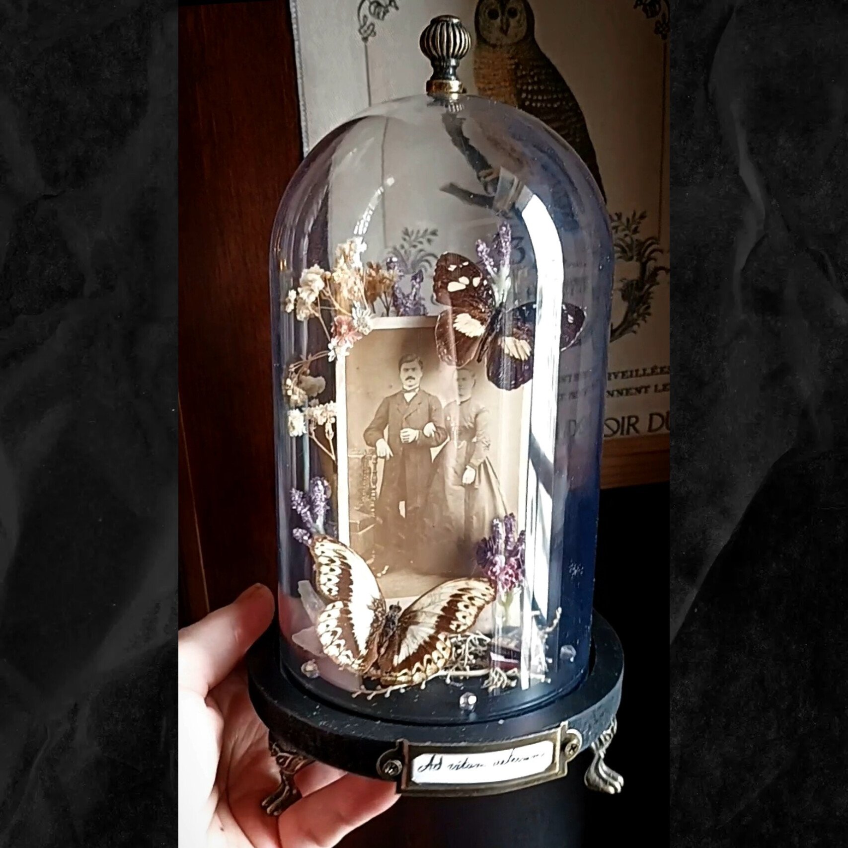 Collection victorienne - "Ad vitam aeternam"