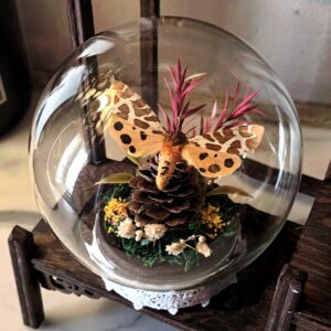 Cloche ronde "Cottage"