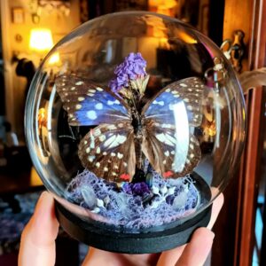 Cloche ronde grande modèle - "Sasakia charonda bleu"