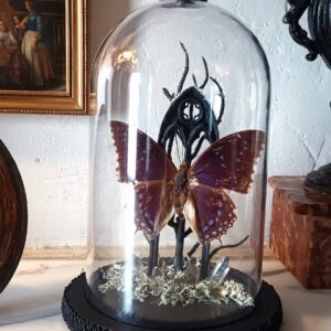 Collection gothique - "Le rêve de Caspar"