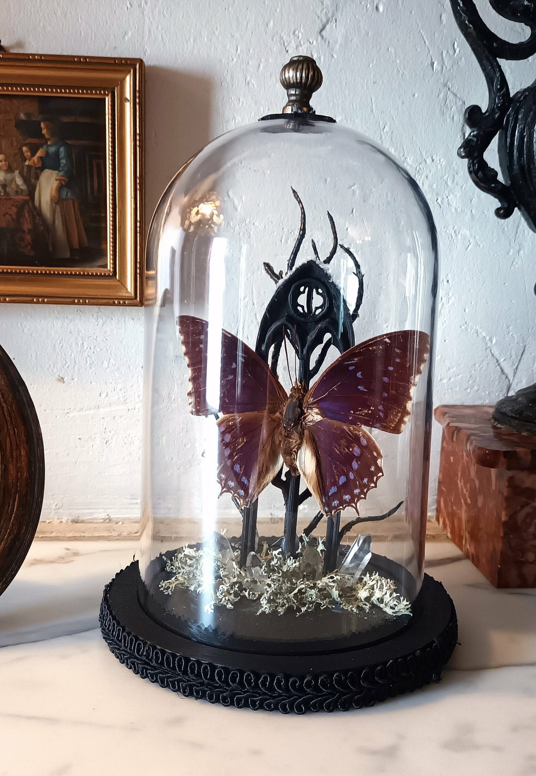 Collection gothique - "Le rêve de Caspar"