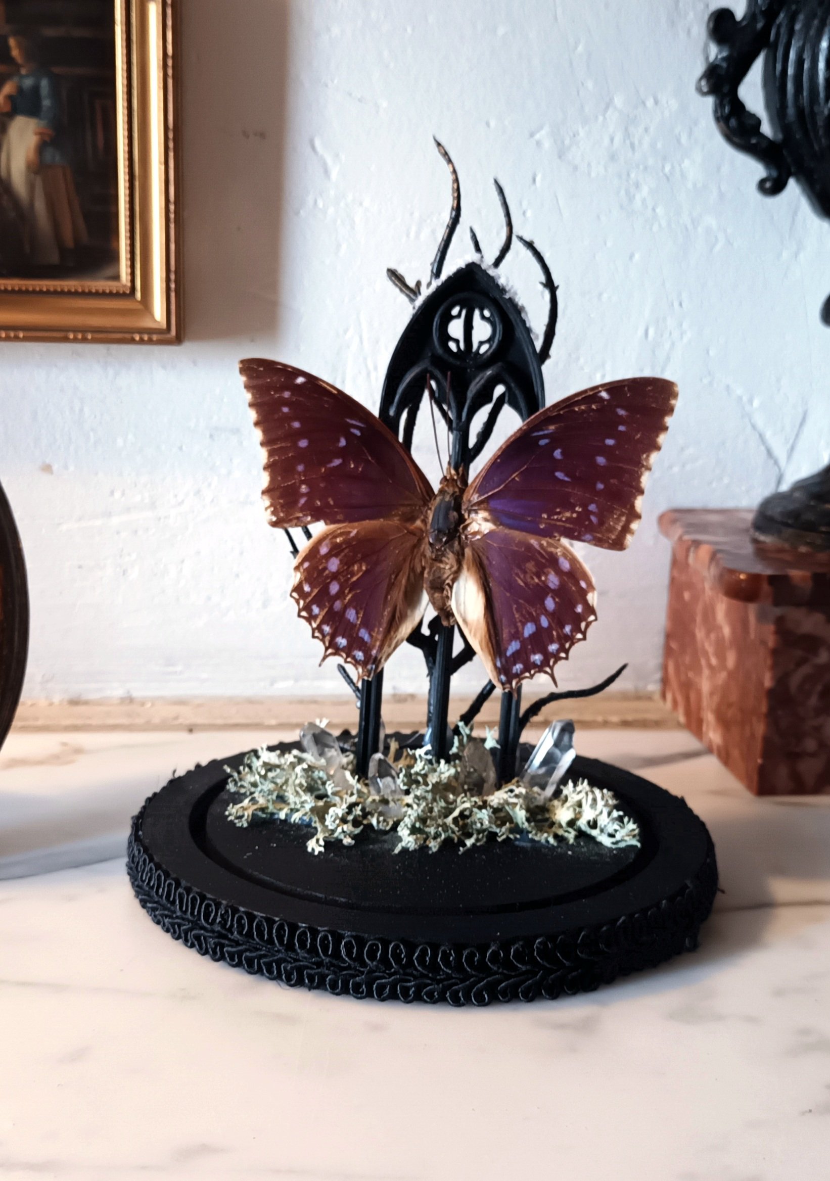 Collection gothique - "Le rêve de Caspar" – Image 2