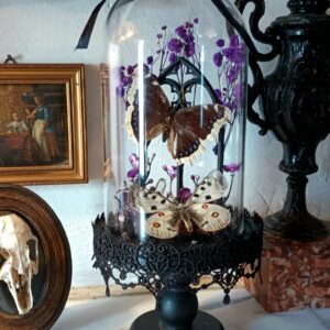 Collection gothique - "Jardin de minuit"