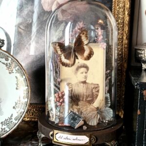 Collection victorienne - "Ad vitam aeternam"