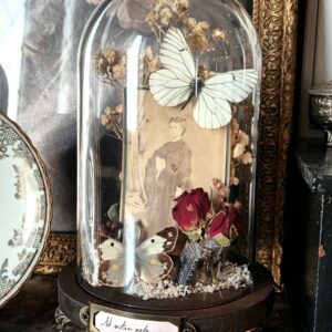 Collection victorienne - "Ad vitam aeternam"